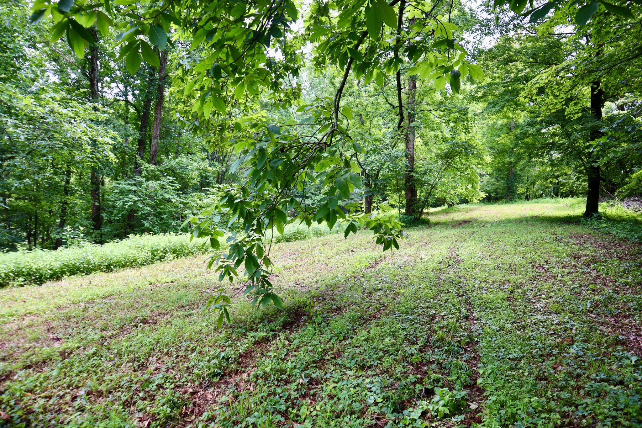 0 W Fork Riley Creek Lane Whitleyville TN 38588