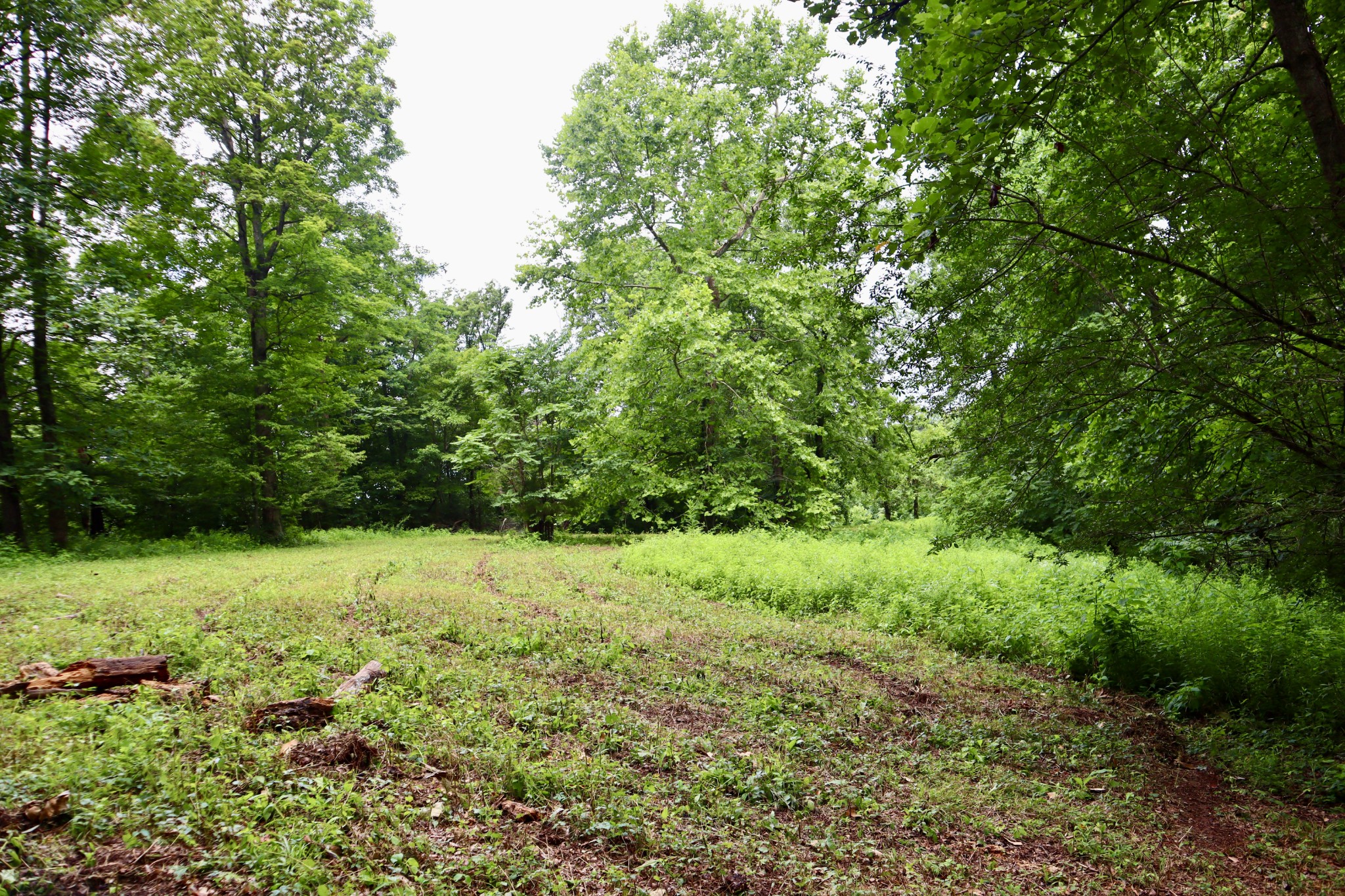 0 W Fork Riley Creek Lane Whitleyville TN 38588