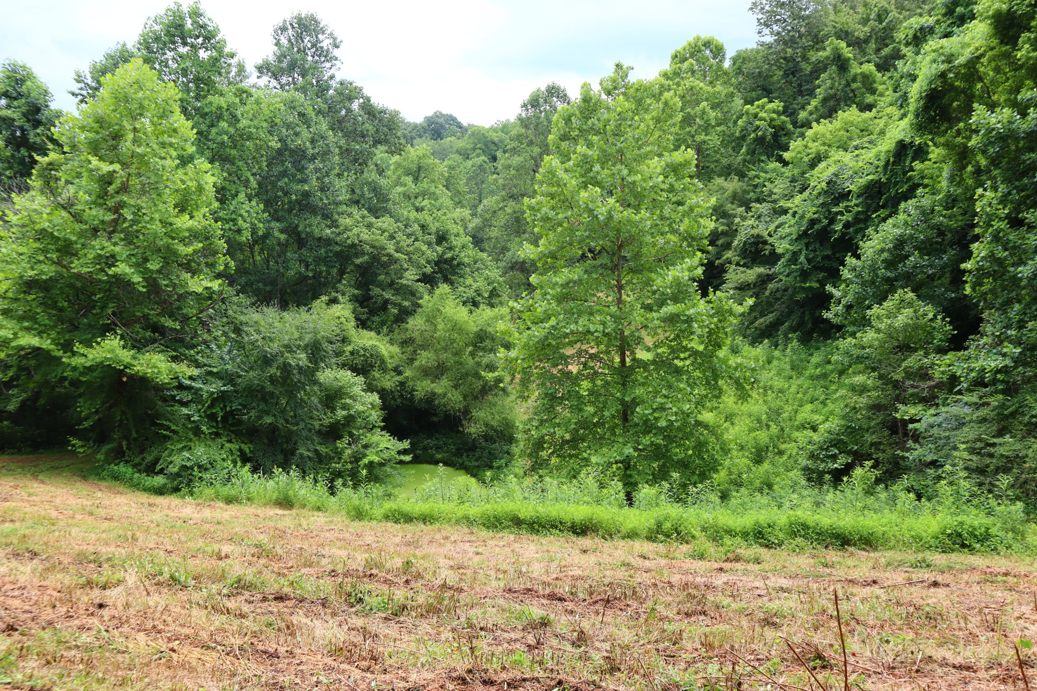 0 W Fork Riley Creek Lane Whitleyville TN 38588