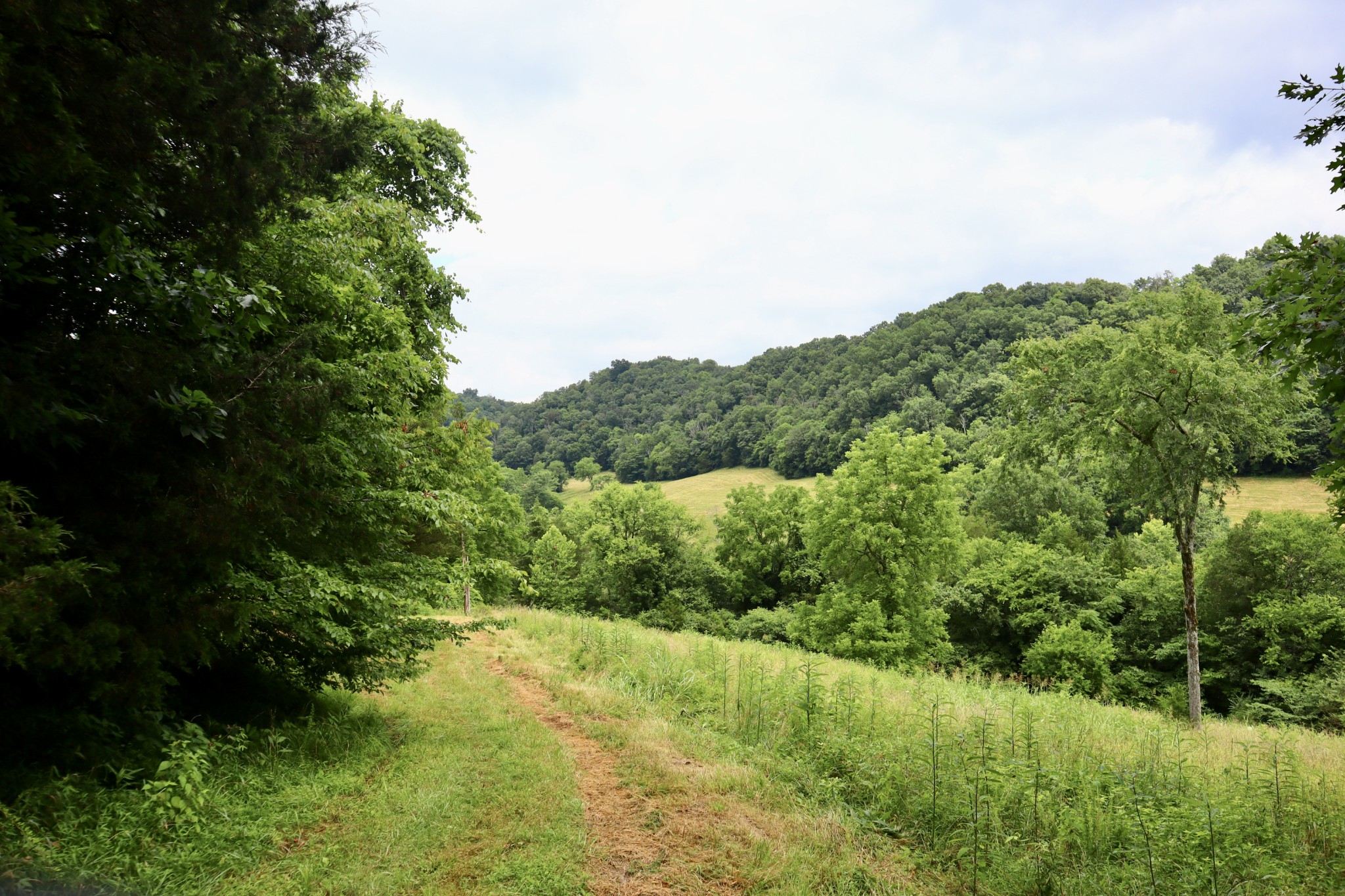 0 W Fork Riley Creek Lane Whitleyville TN 38588