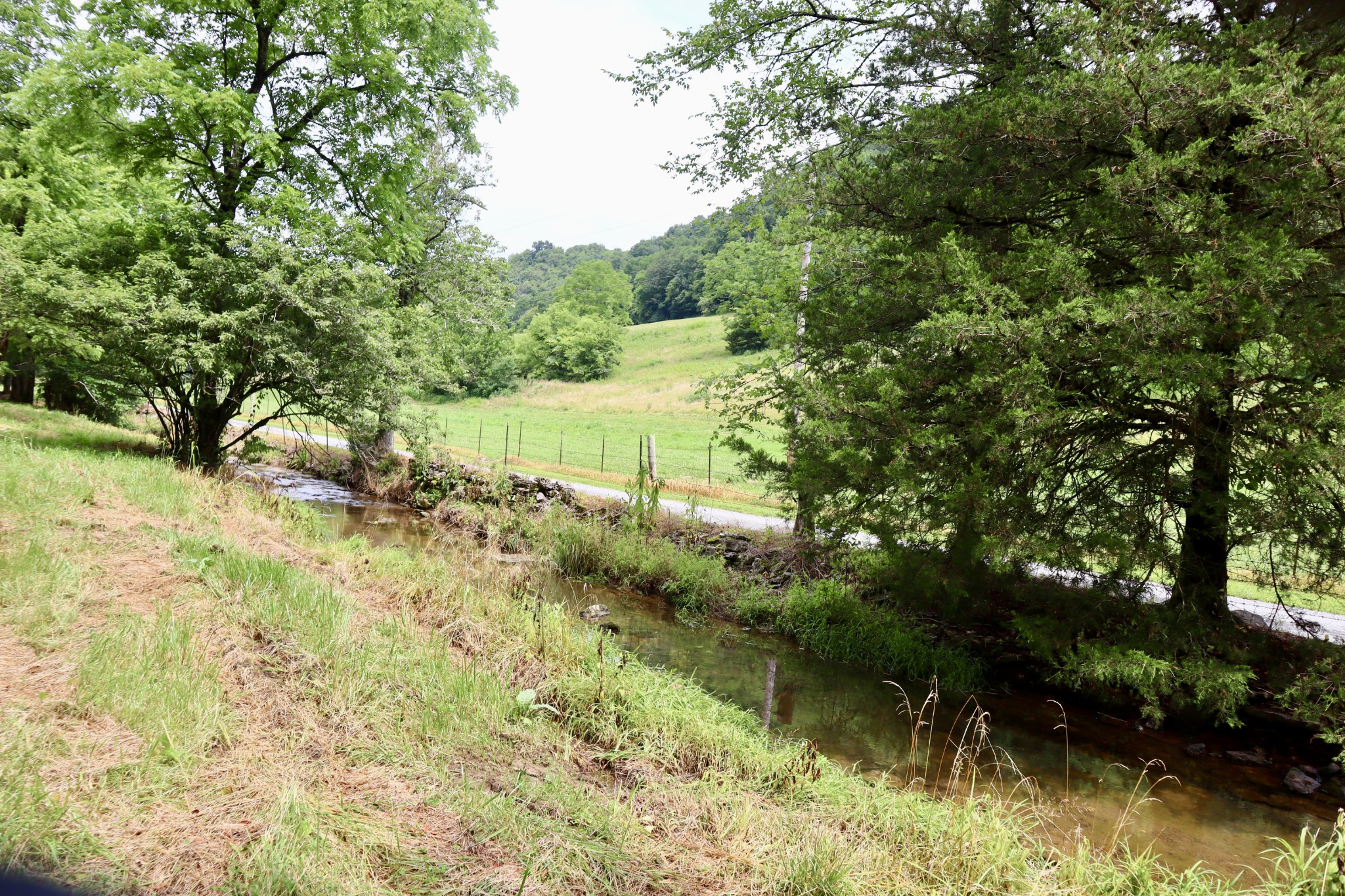 0 W Fork Riley Creek Lane Whitleyville TN 38588