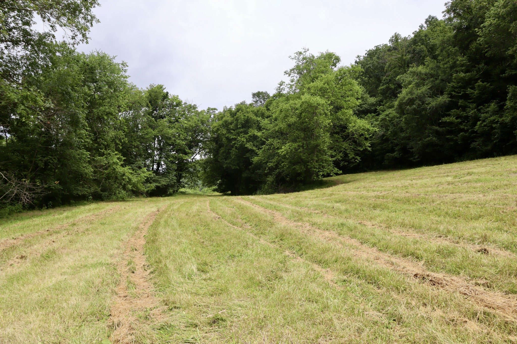 0 W Fork Riley Creek Lane Whitleyville TN 38588