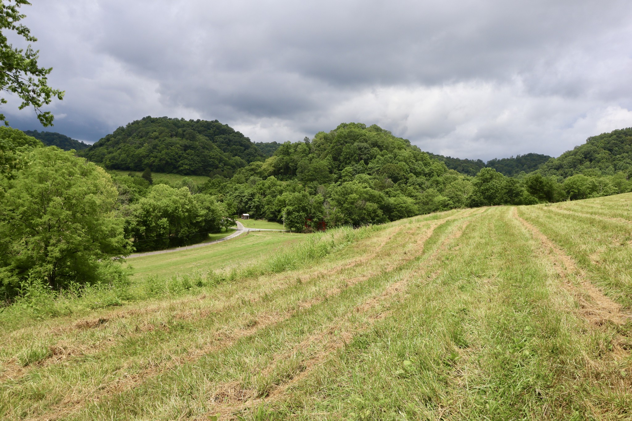 0 W Fork Riley Creek Lane Whitleyville TN 38588