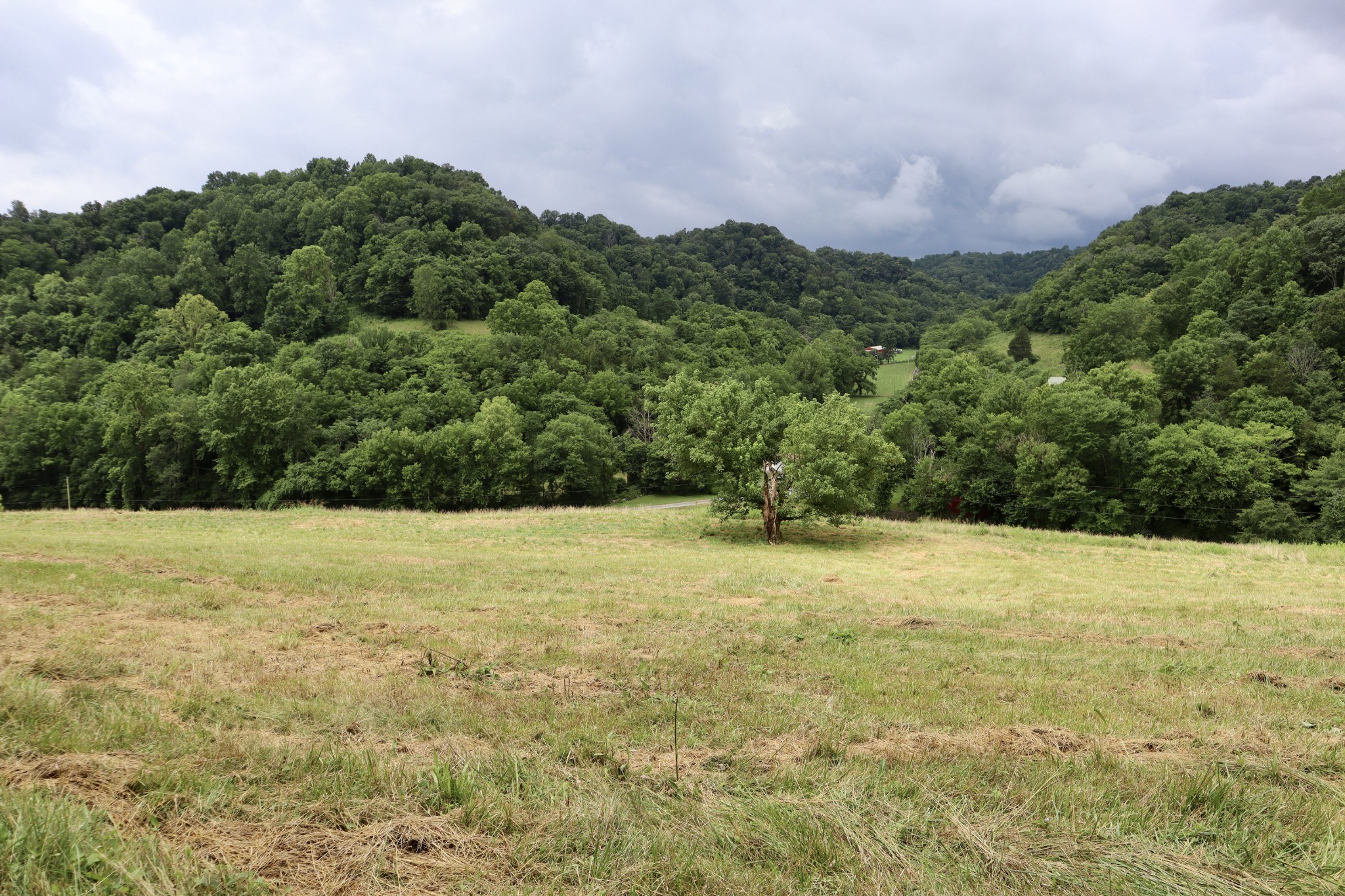0 W Fork Riley Creek Lane Whitleyville TN 38588