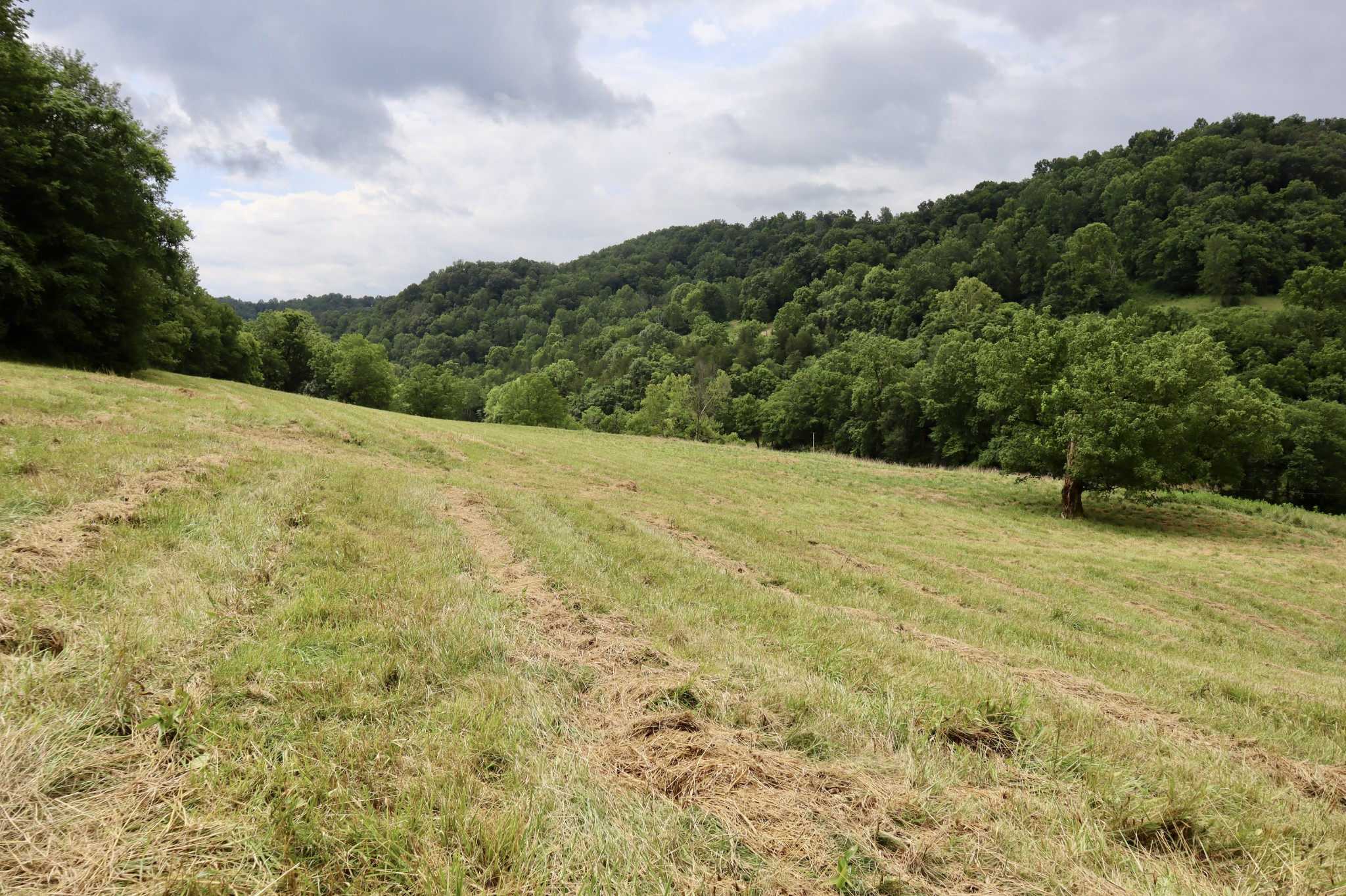 0 W Fork Riley Creek Lane Whitleyville TN 38588