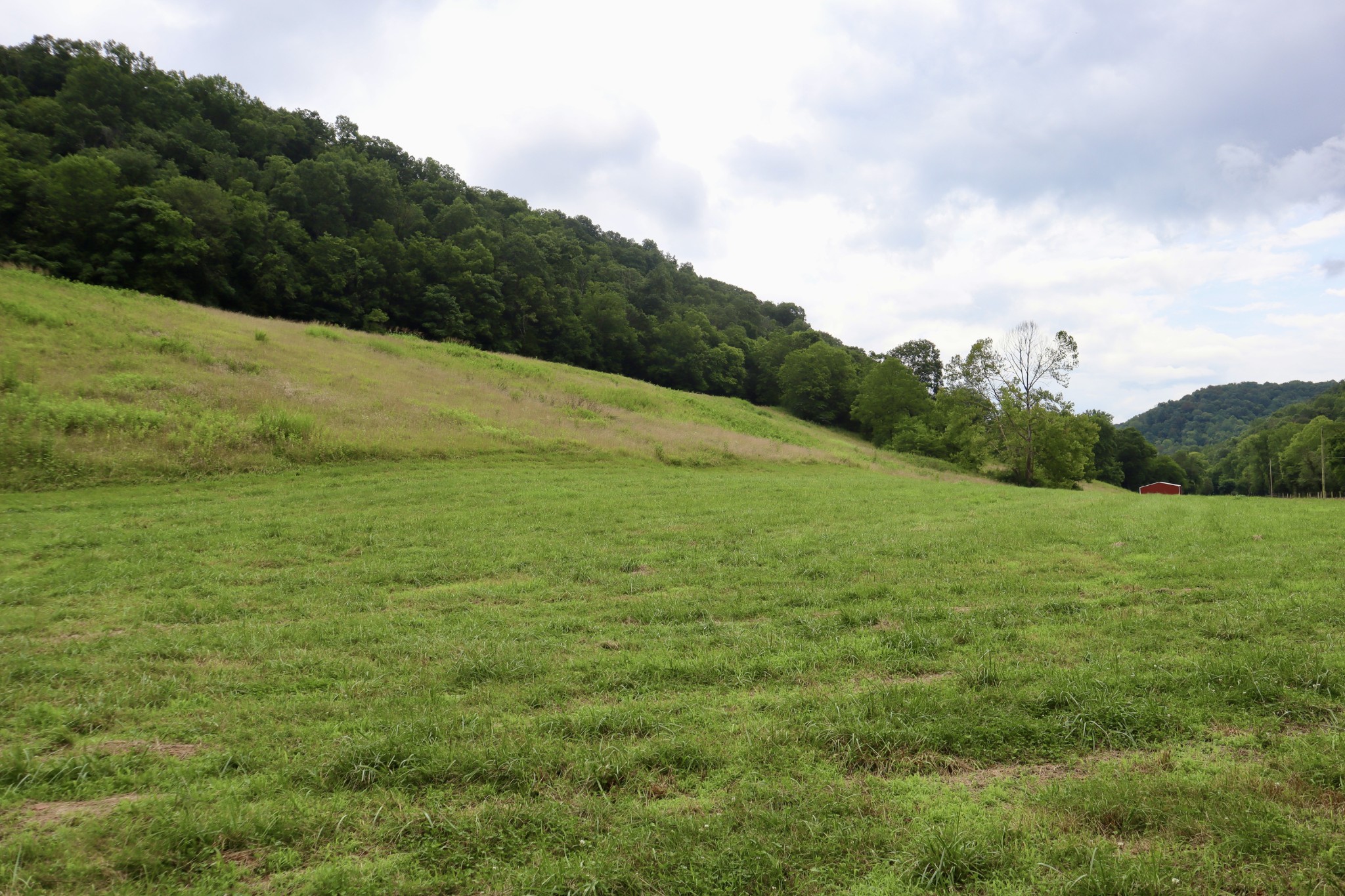 0 W Fork Riley Creek Lane Whitleyville TN 38588