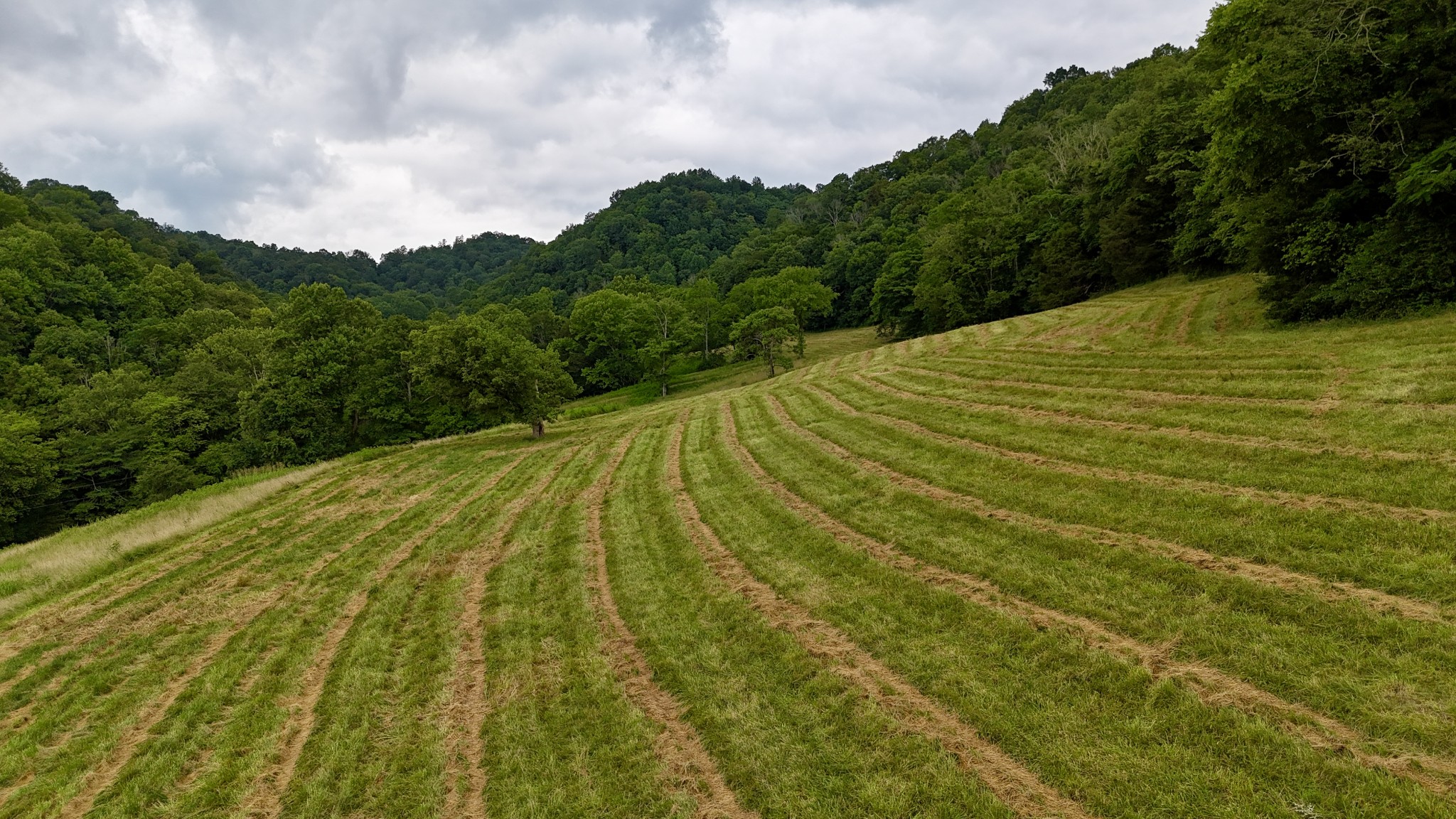 0 W Fork Riley Creek Lane Whitleyville TN 38588