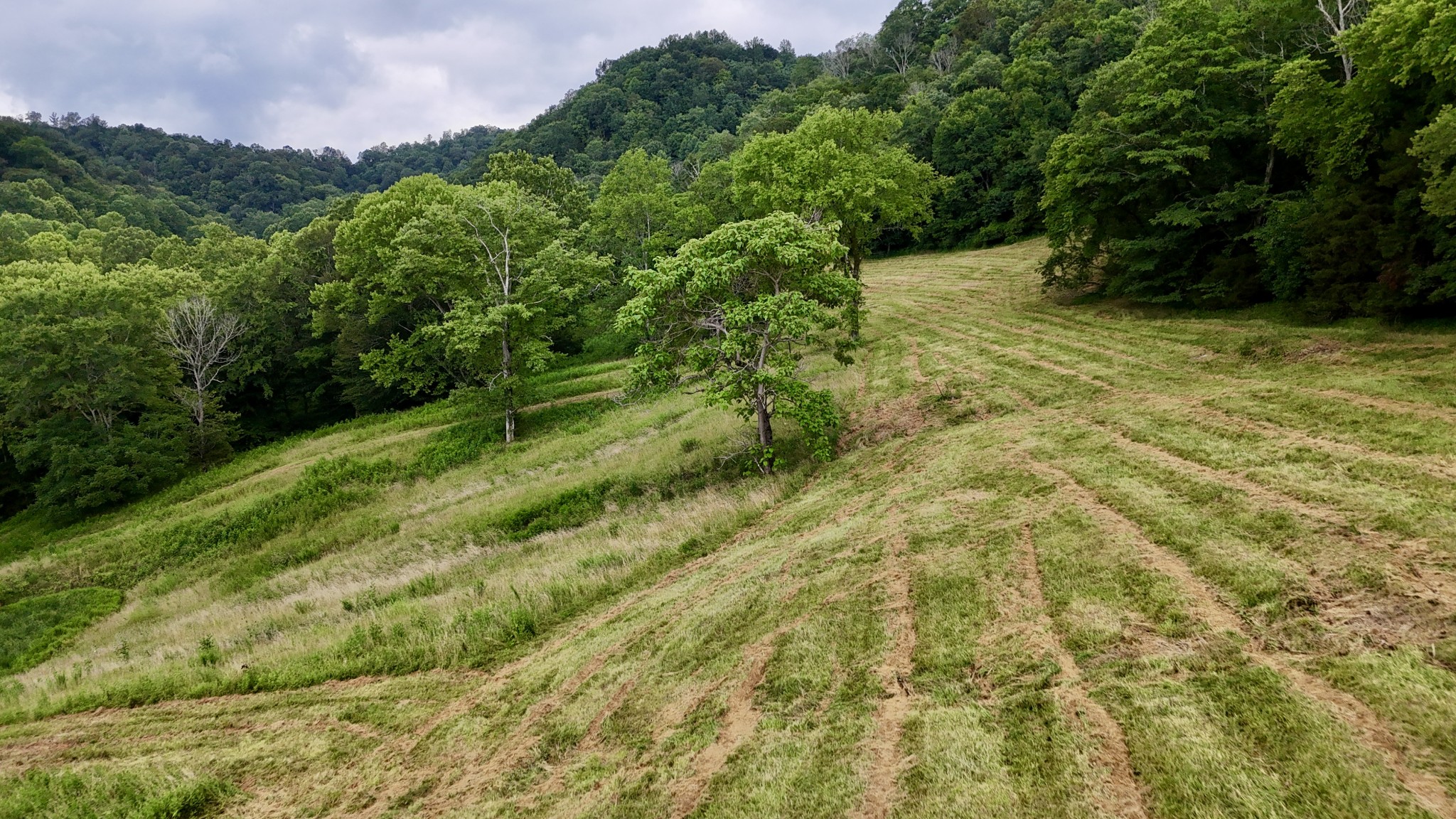 0 W Fork Riley Creek Lane Whitleyville TN 38588