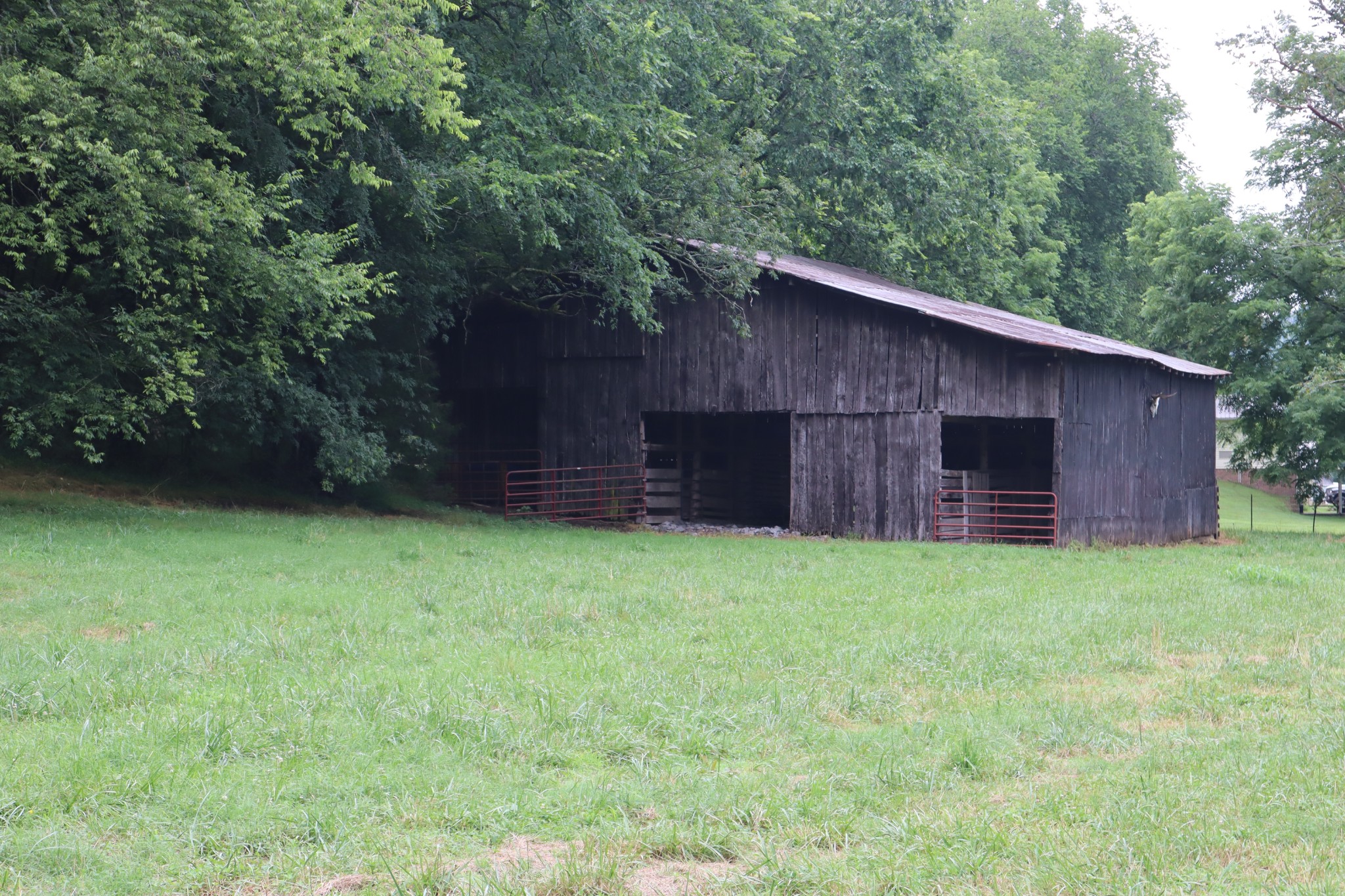 0 W Fork Riley Creek Lane Whitleyville TN 38588