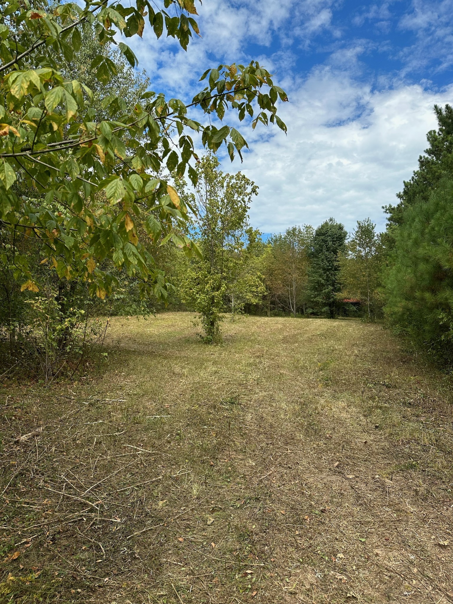 0 Eudailey Covington Road College Grove TN 37046