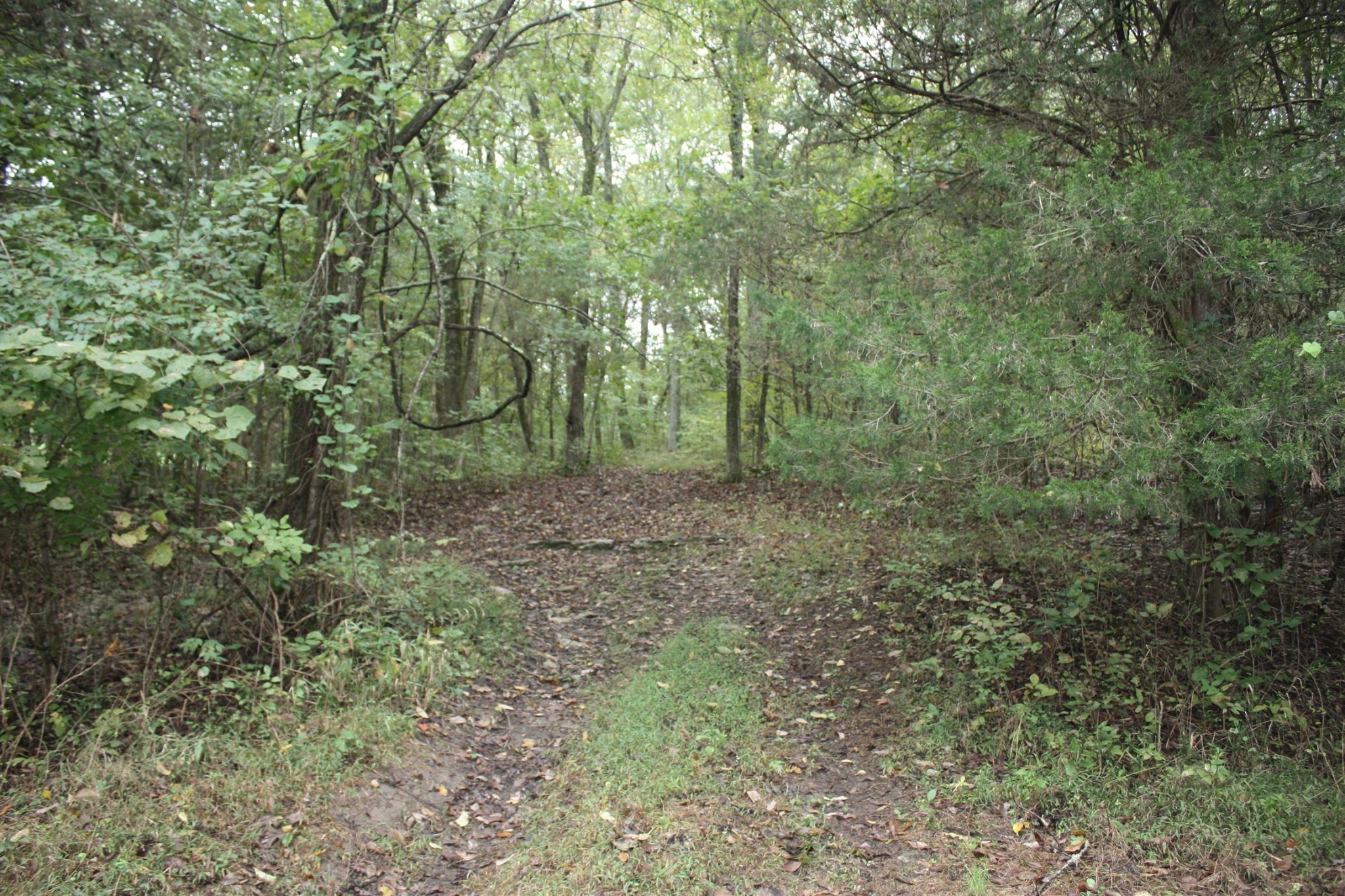 5679 Carters Creek Pike Thompsons Station TN 37179