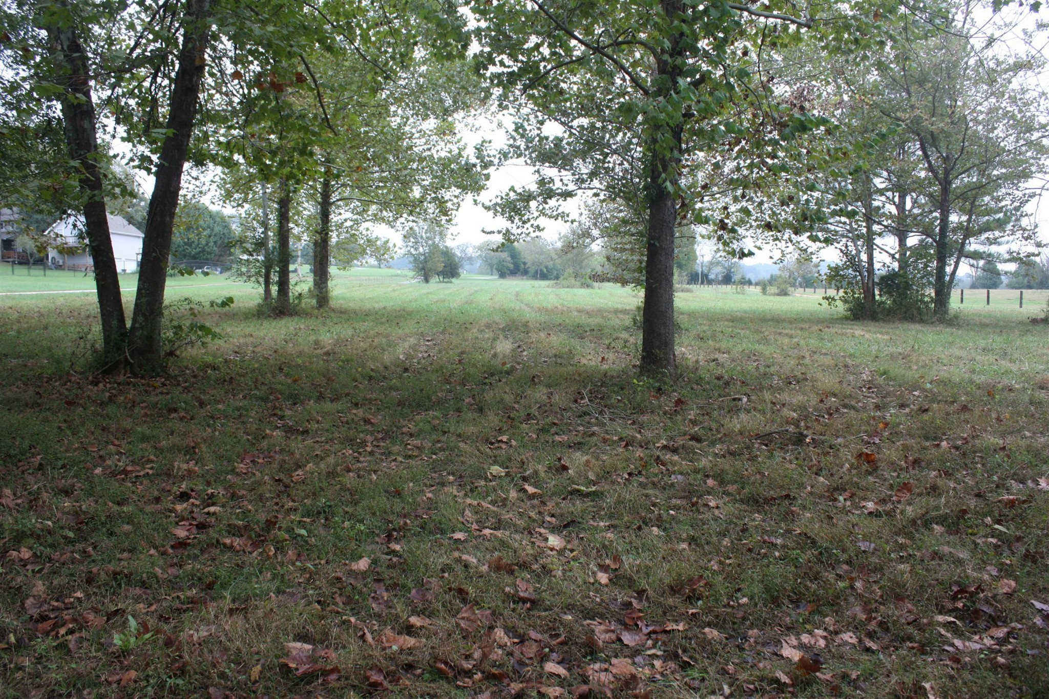 5679 Carters Creek Pike Thompsons Station TN 37179