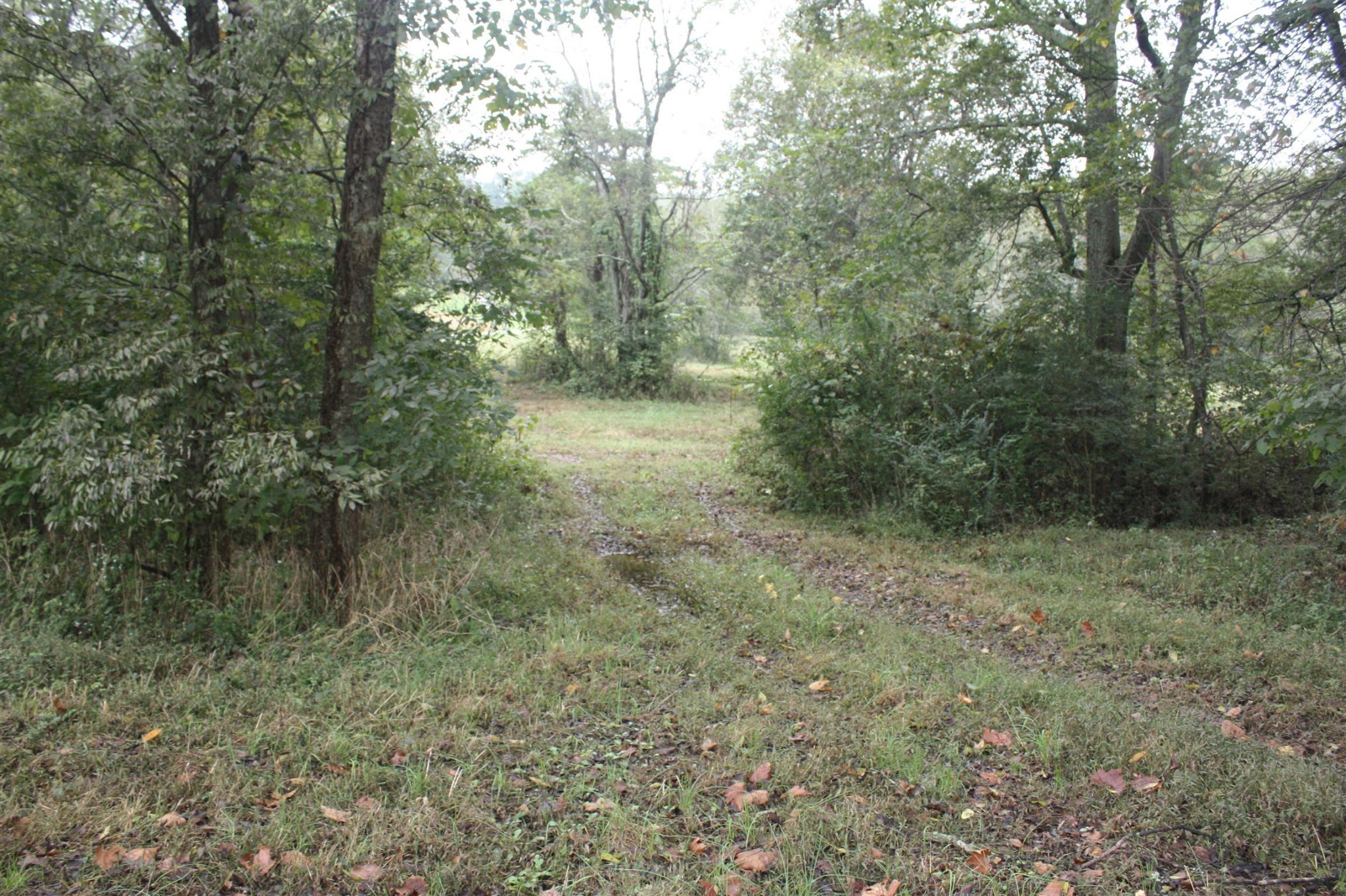 5679 Carters Creek Pike Thompsons Station TN 37179