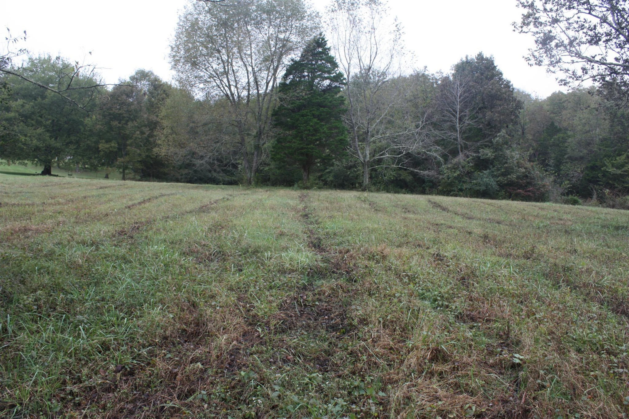 5679 Carters Creek Pike Thompsons Station TN 37179