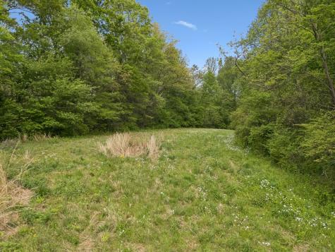 1059 Old Railroad Bed Road Taft TN 38488