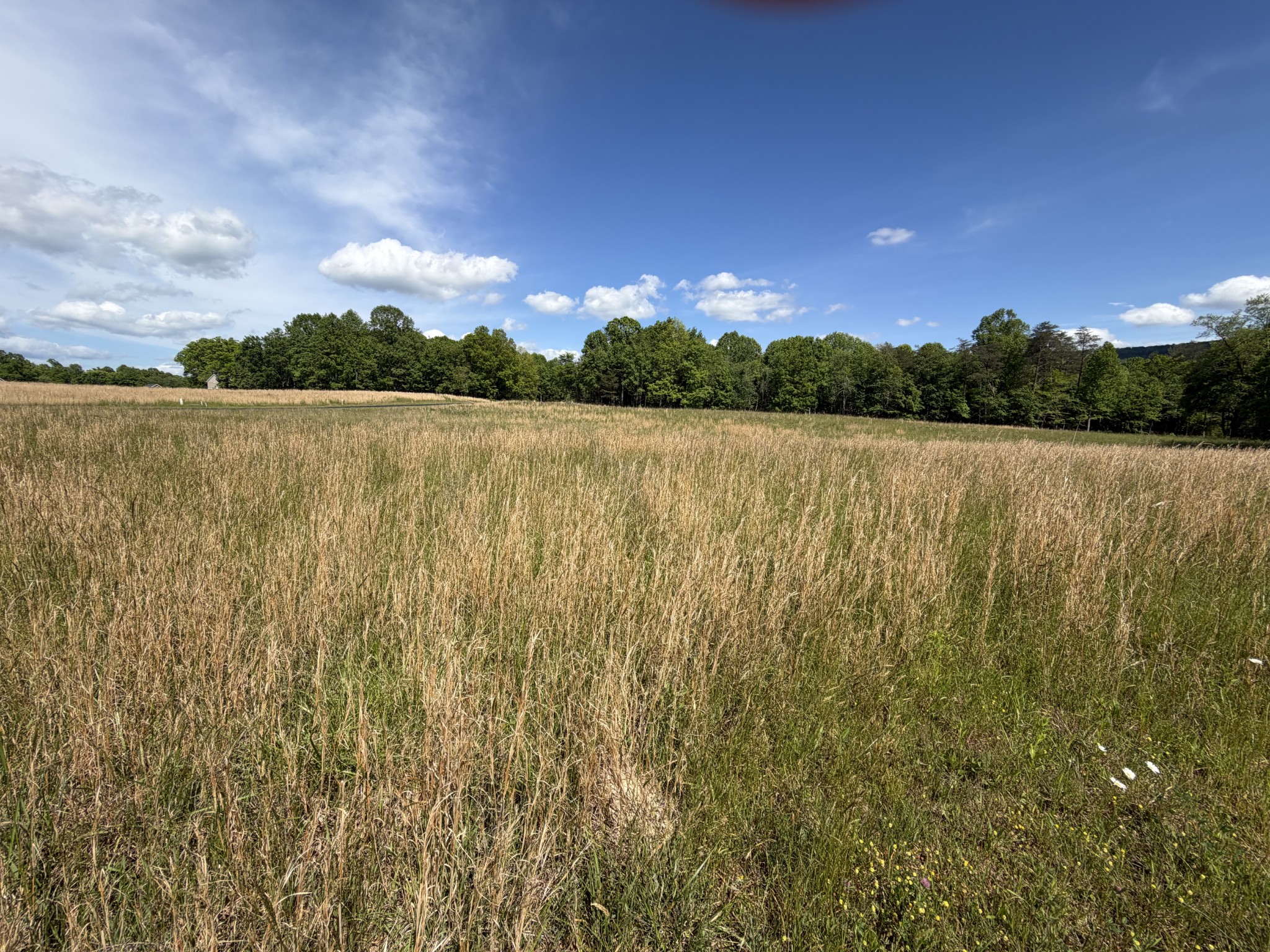 0 Marie Lane Crossville TN 38555