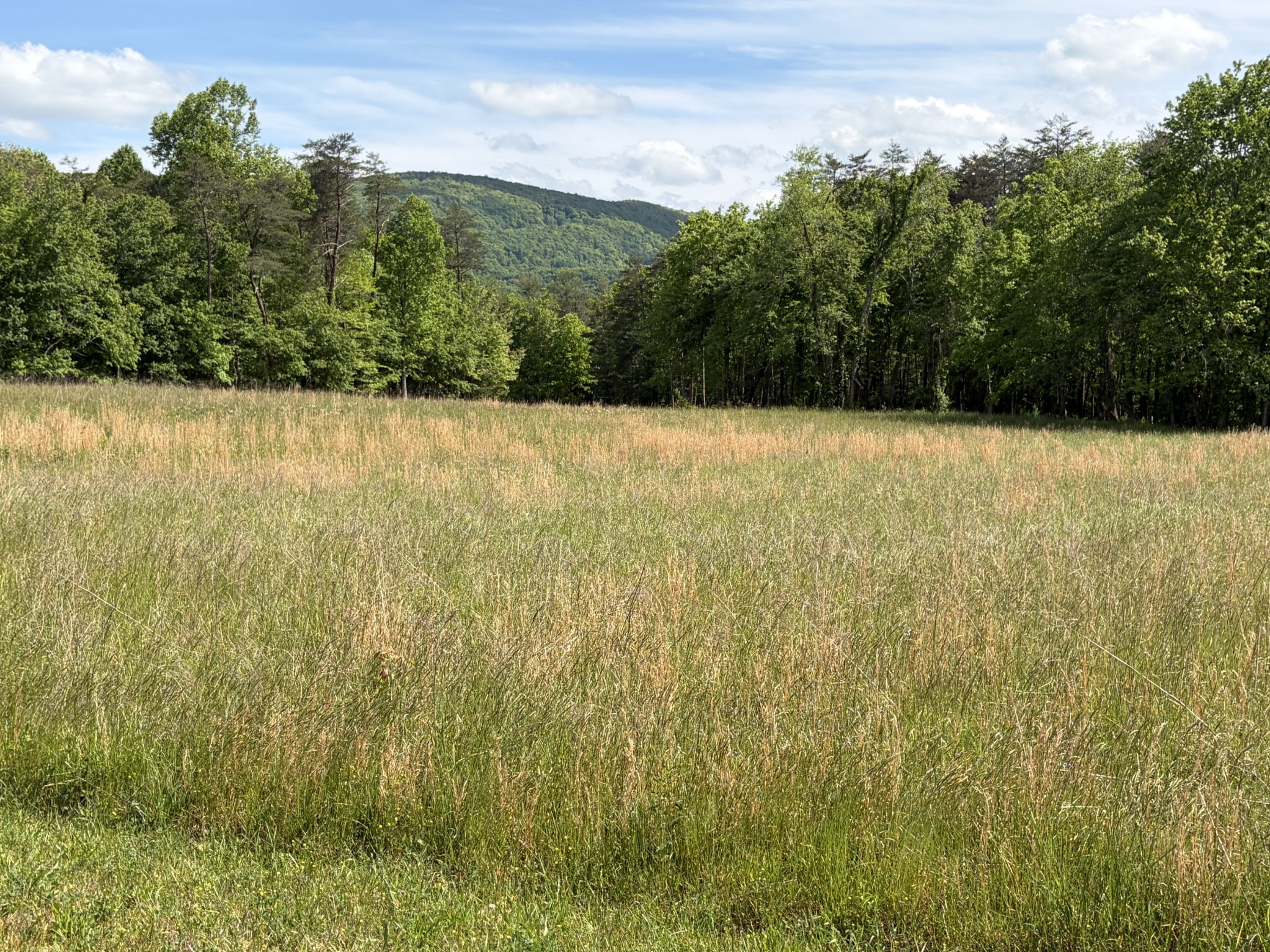 0 Marie Lane Crossville TN 38555
