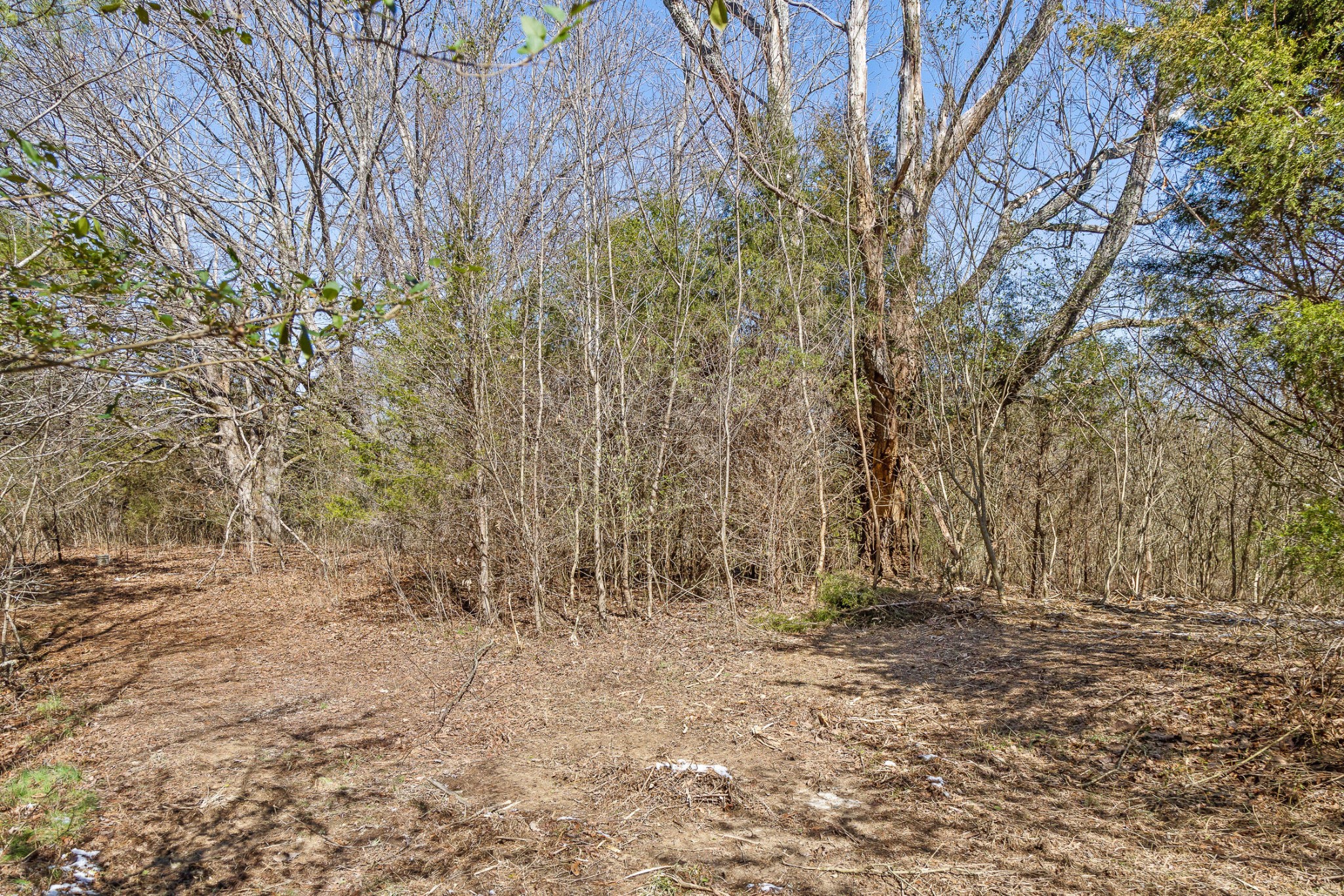 0 Andy Thomas Road Dayton TN 37321