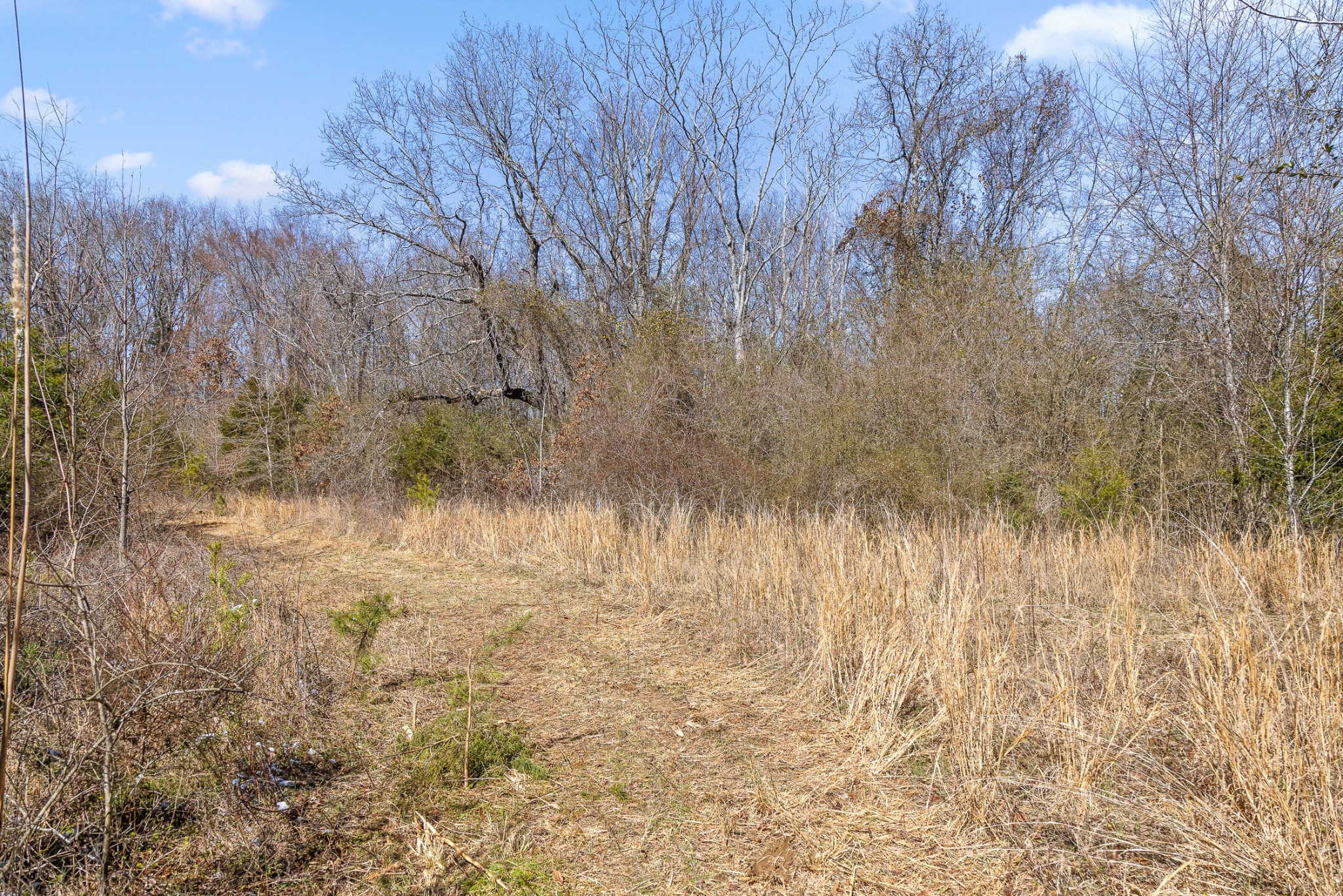 0 Andy Thomas Road Dayton TN 37321
