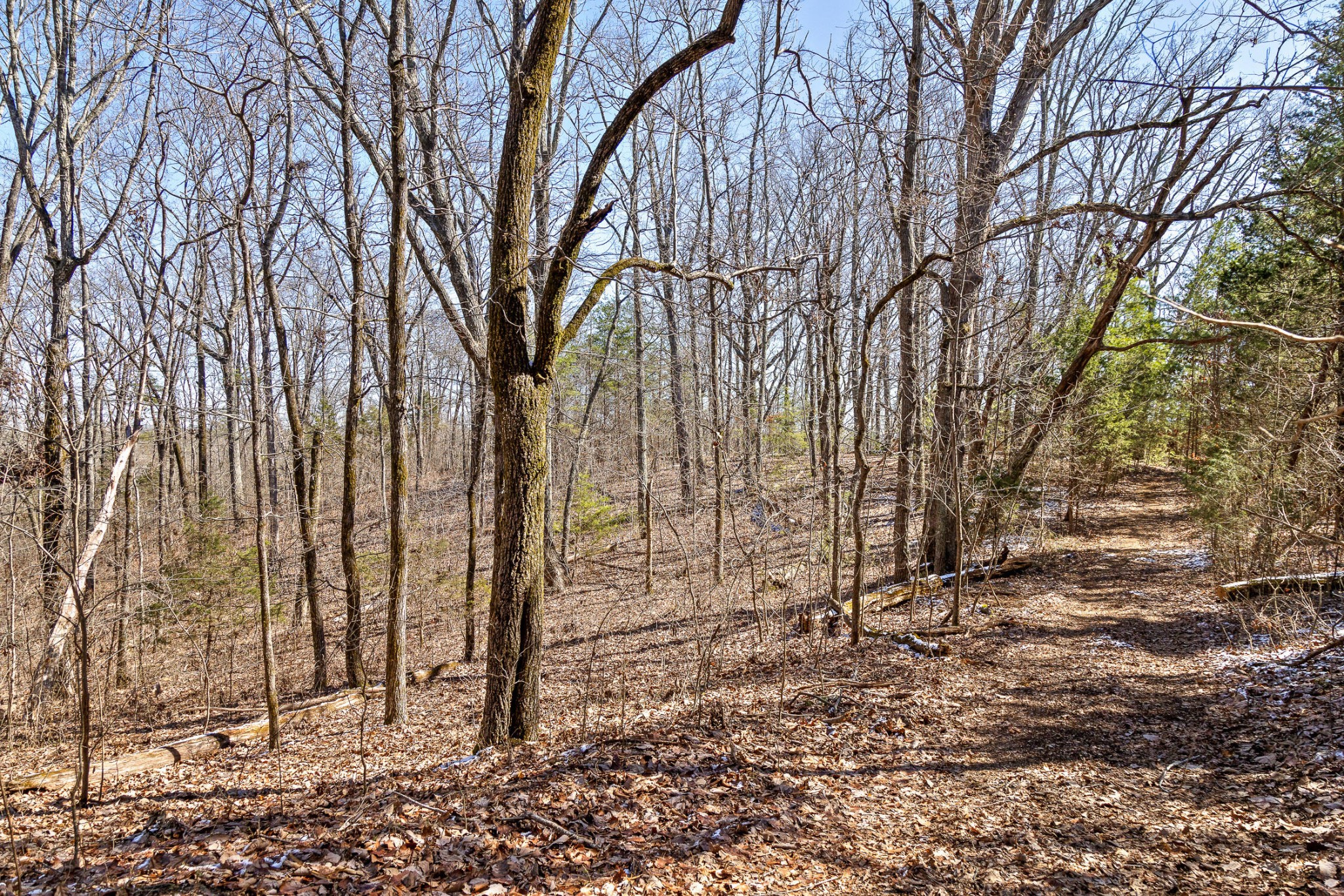 0 Andy Thomas Road Dayton TN 37321
