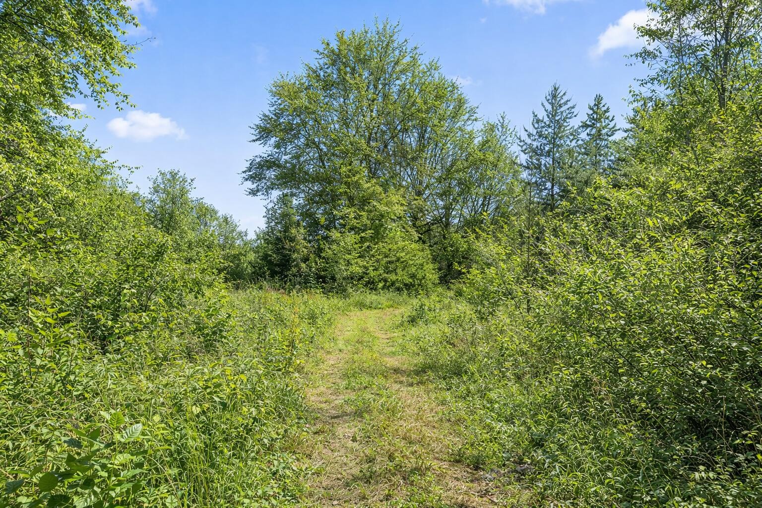 0 Andy Thomas Road Dayton TN 37321