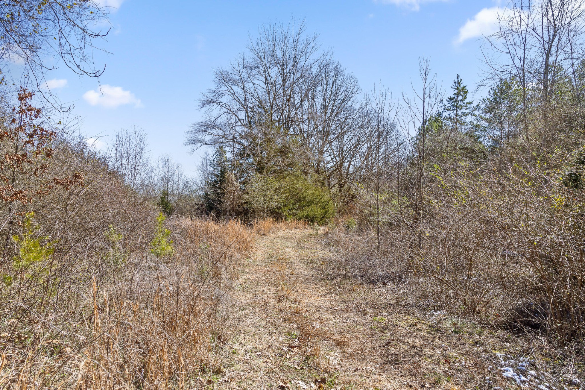 0 Andy Thomas Road Dayton TN 37321