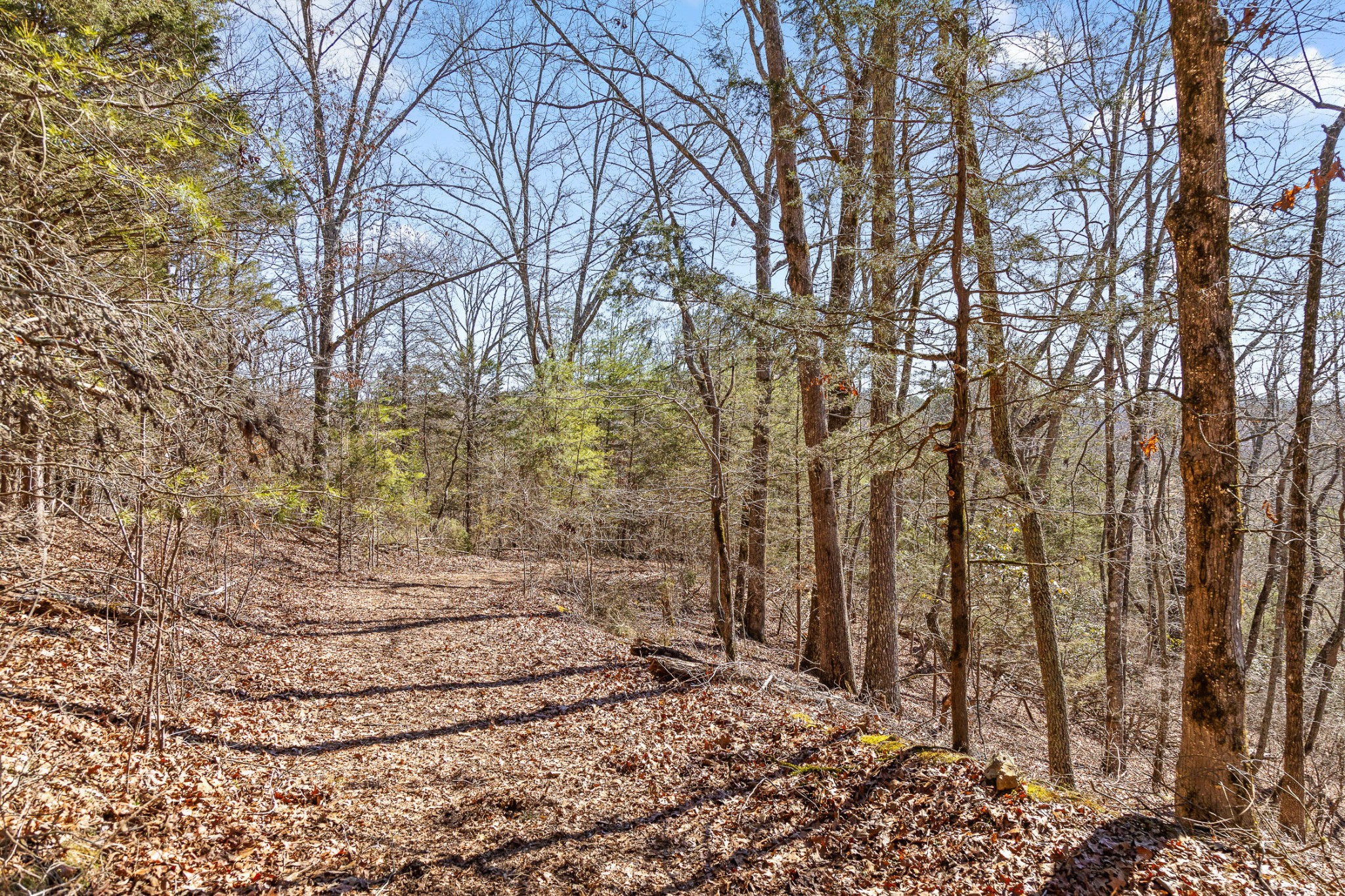 0 Andy Thomas Road Dayton TN 37321