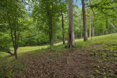 3361 Backridge Road Woodlawn TN 37191