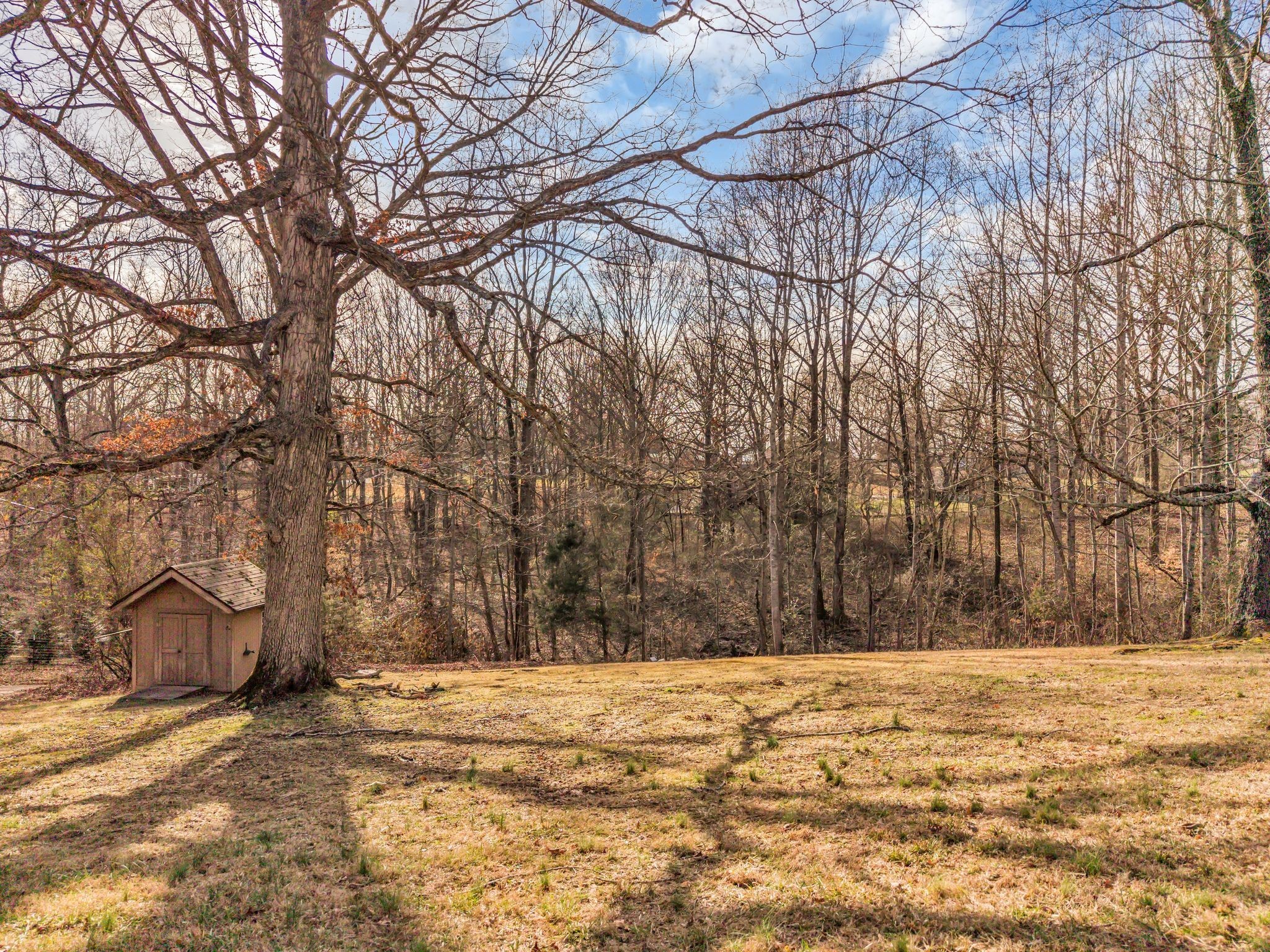 1006 Twin Oaks Drive White Bluff TN 37187