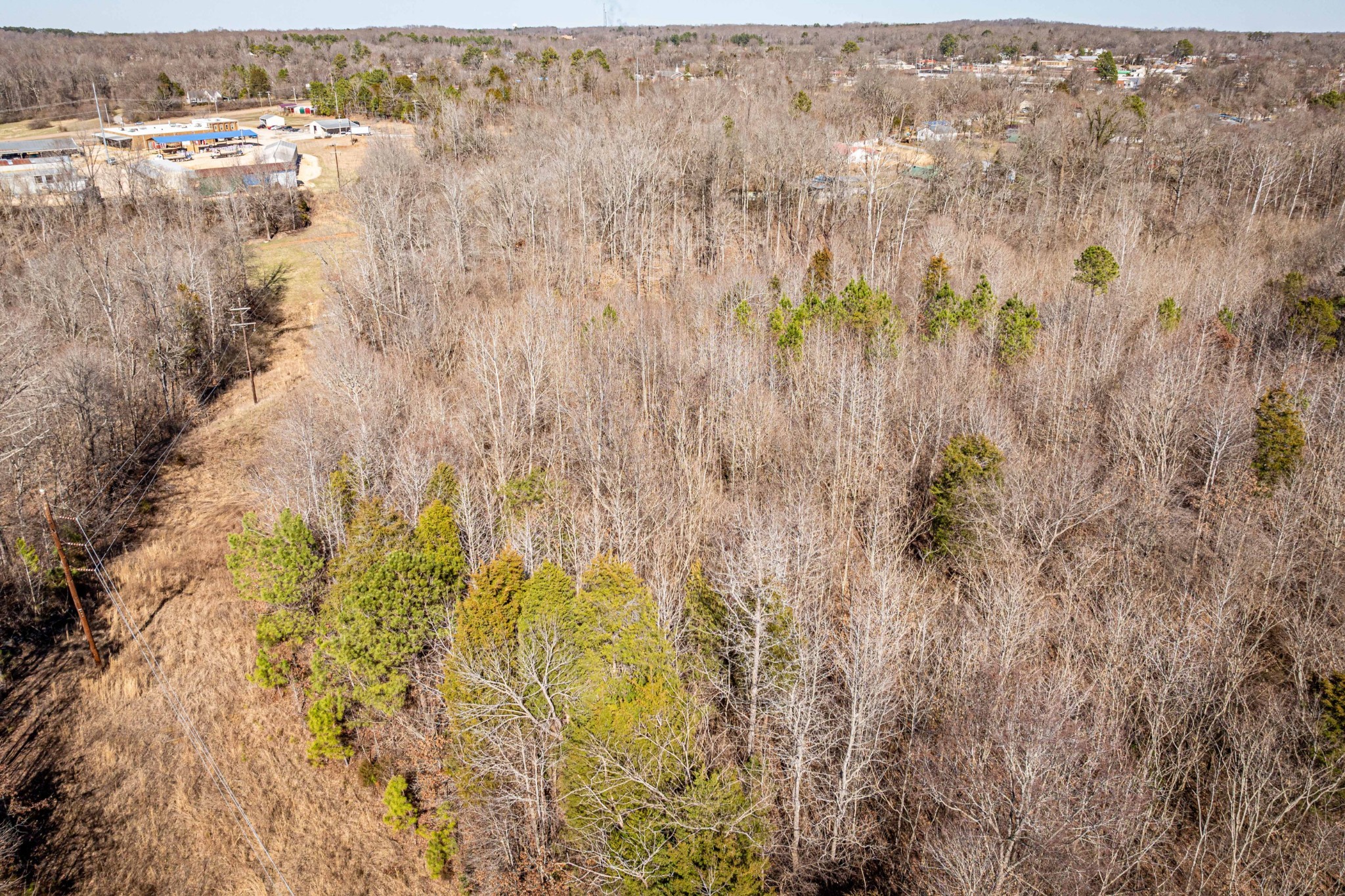 0 Gunn Gardens Place Parsons TN 38363