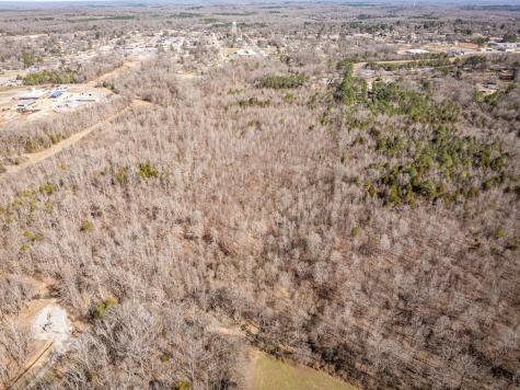 0 Gunn Gardens Place Parsons TN 38363