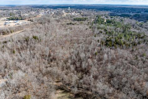0 Gunn Gardens Place Parsons TN 38363
