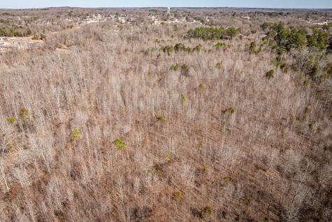 0 Gunn Gardens Place Parsons TN 38363