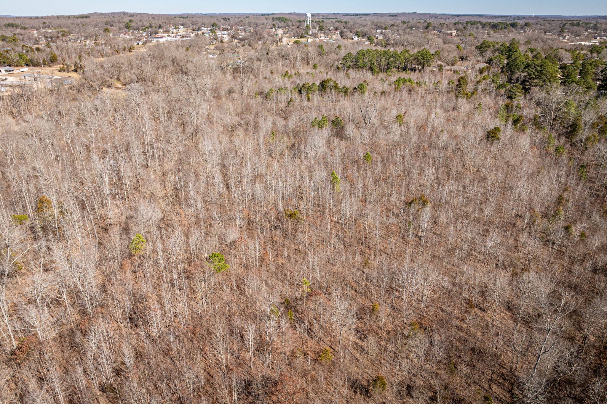 0 Gunn Gardens Place Parsons TN 38363