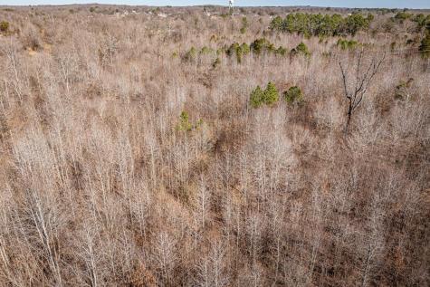0 Gunn Gardens Place Parsons TN 38363