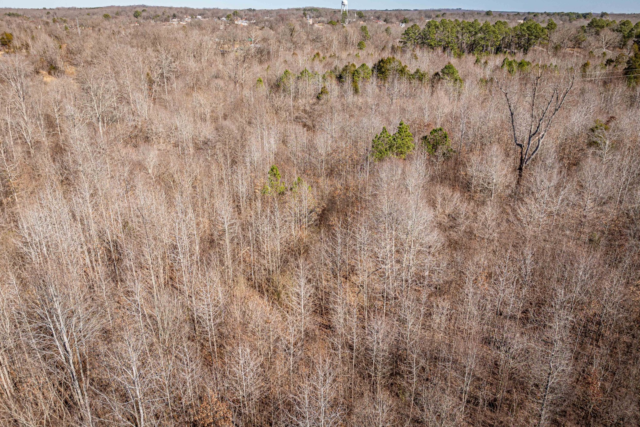 0 Gunn Gardens Place Parsons TN 38363