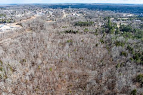 0 Gunn Gardens Place Parsons TN 38363