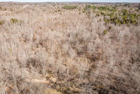 0 Gunn Gardens Place Parsons TN 38363
