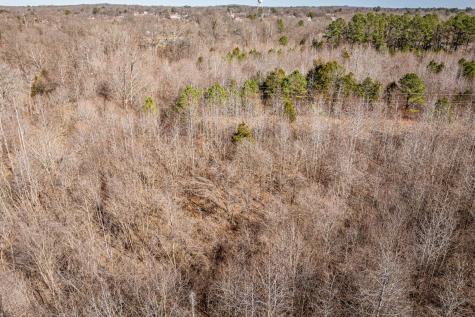 0 Gunn Gardens Place Parsons TN 38363