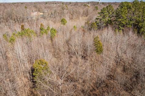 0 Gunn Gardens Place Parsons TN 38363