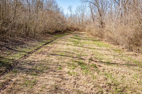 0 Gunn Gardens Place Parsons TN 38363