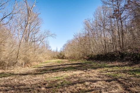 0 Gunn Gardens Place Parsons TN 38363