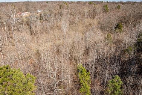 0 Gunn Gardens Place Parsons TN 38363