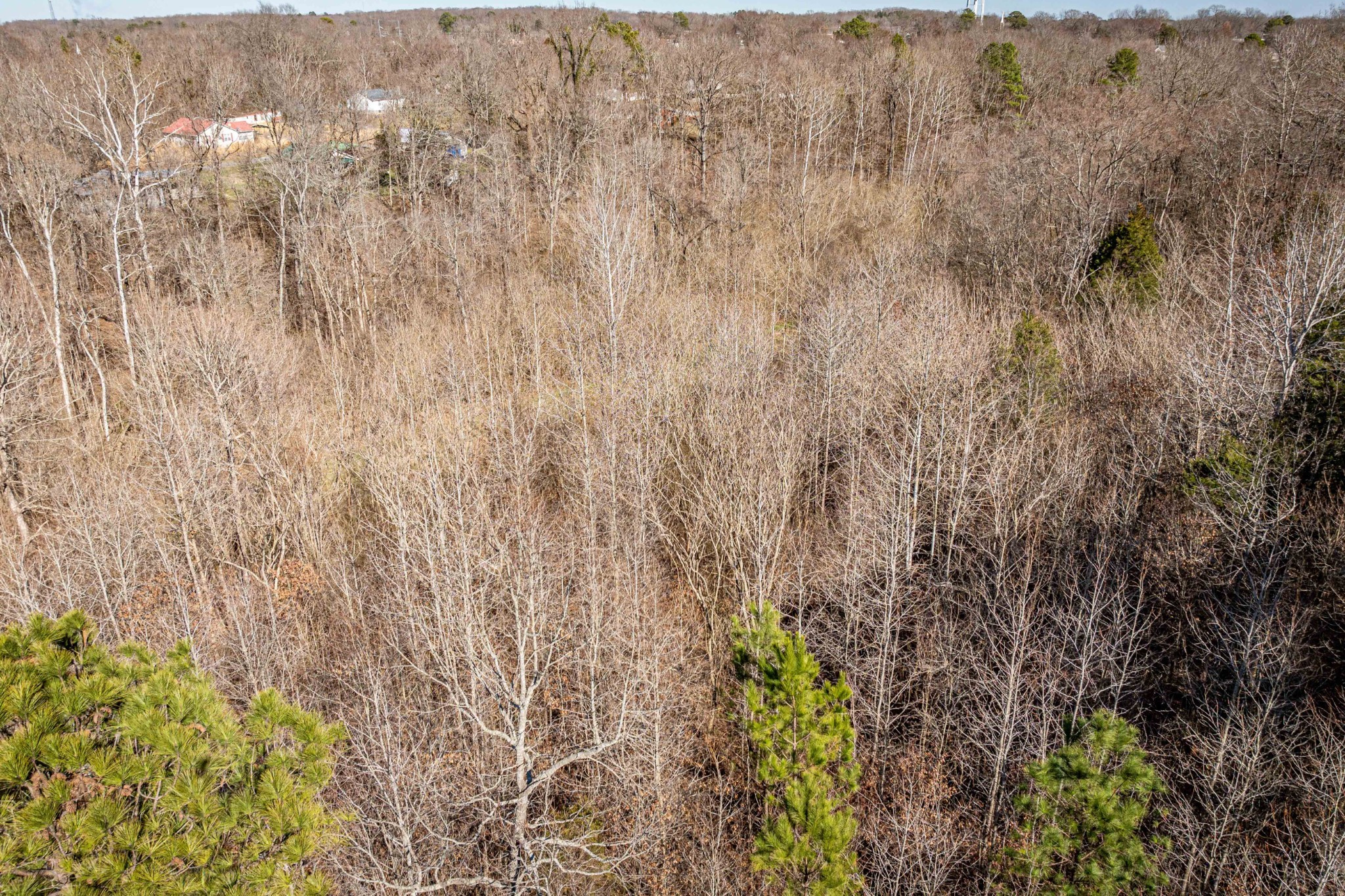 0 Gunn Gardens Place Parsons TN 38363
