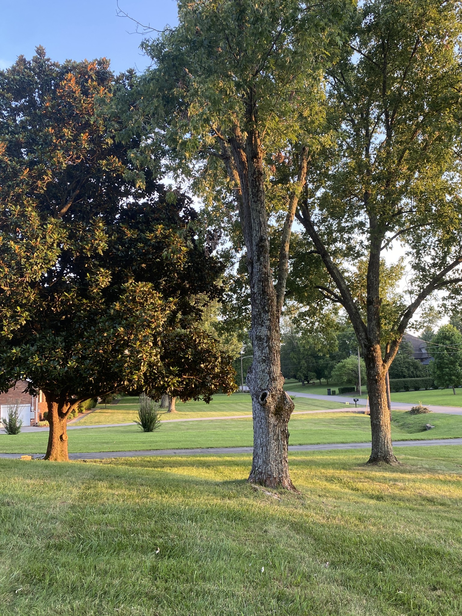 812 Shenandoah Drive Brentwood TN 37027