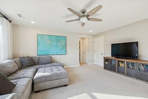 4205 Buckeye Lane Arrington TN 37014