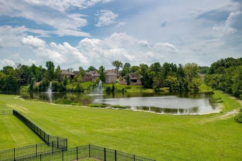 4205 Buckeye Lane Arrington TN 37014