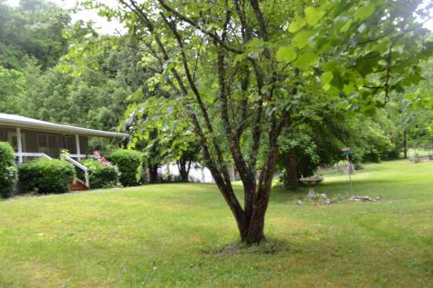 1505 Add Stafford Road Hilham TN 38568