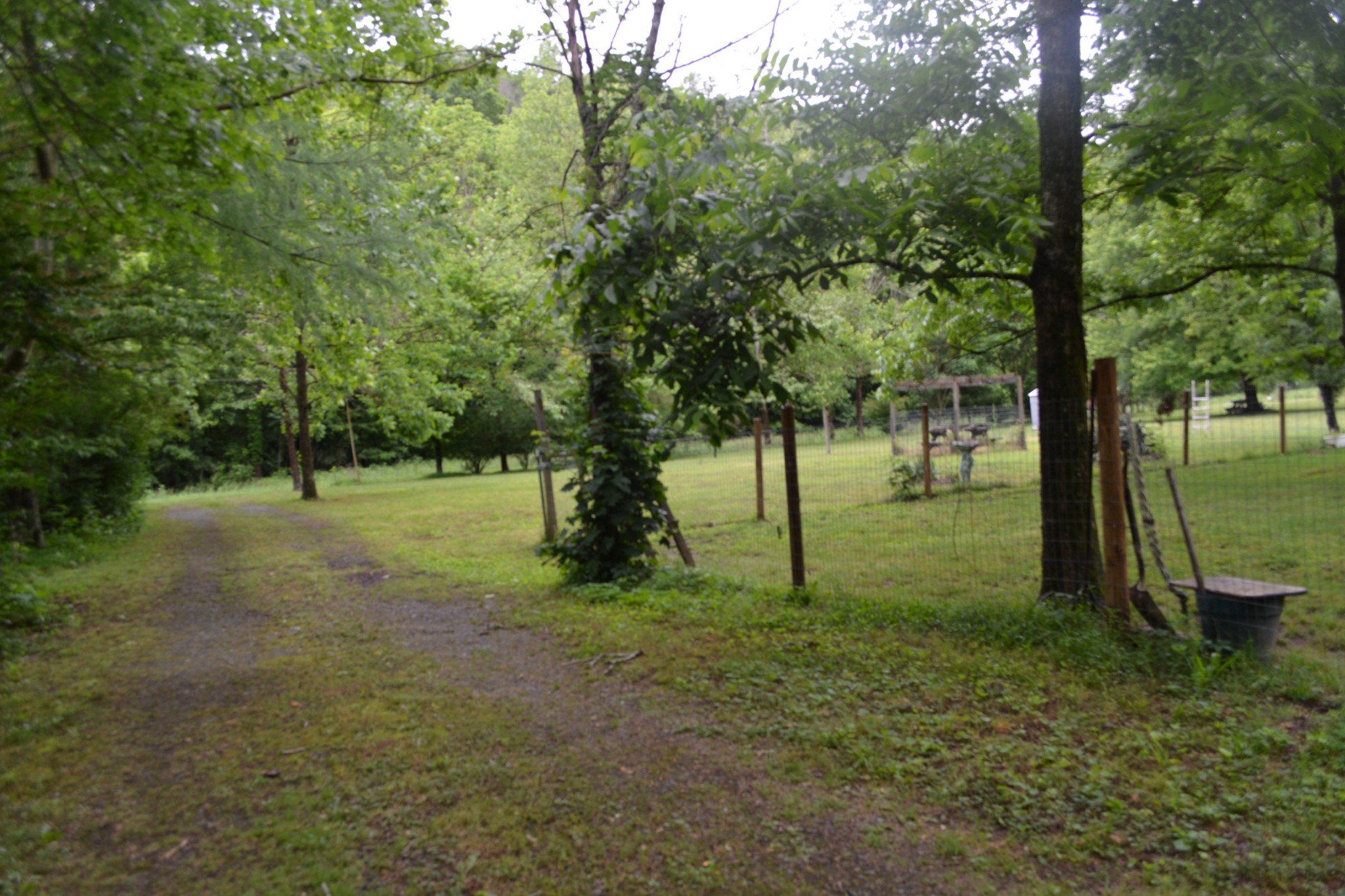 1505 Add Stafford Road Hilham TN 38568