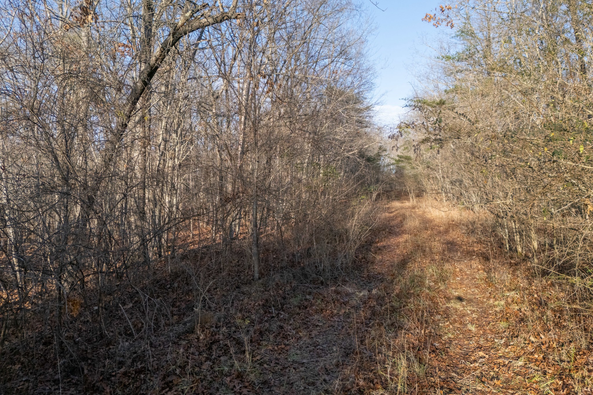 0 Satsuma Drive Crossville TN 38555